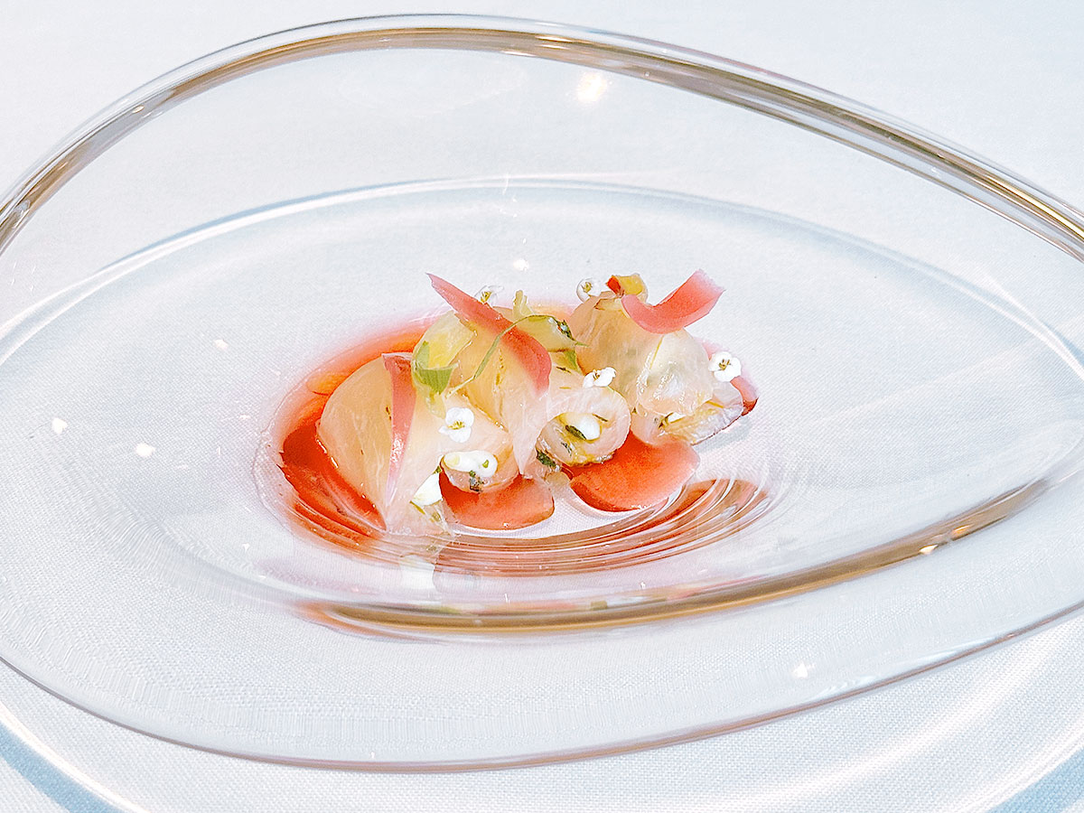 Odette Review - SHIMA AJI'CRUDO' Odette Review - SHIMA AJI'CRUDO'