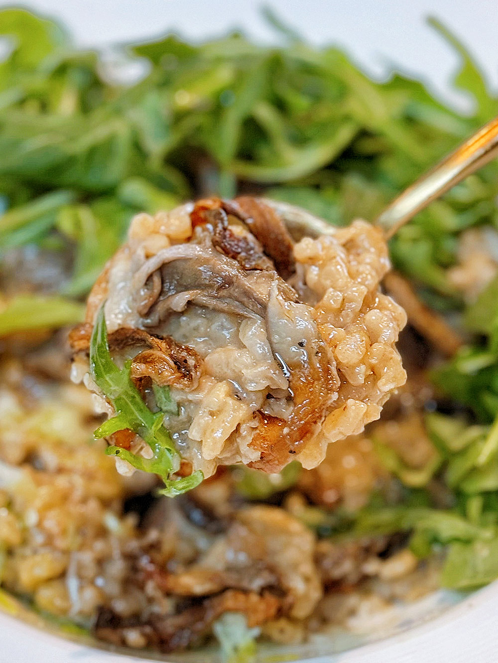 Risotto Aux Champignons at Vineyard Hortpark Restaurant, Singapore, for review