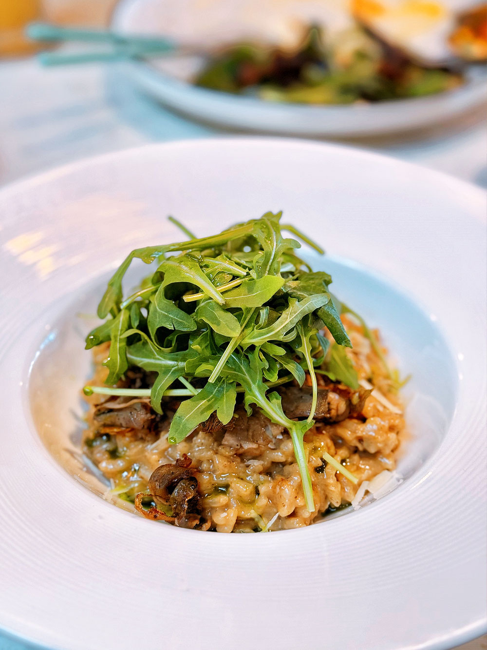 Risotto Aux Champignons at Vineyard Hortpark Restaurant, Singapore, for review